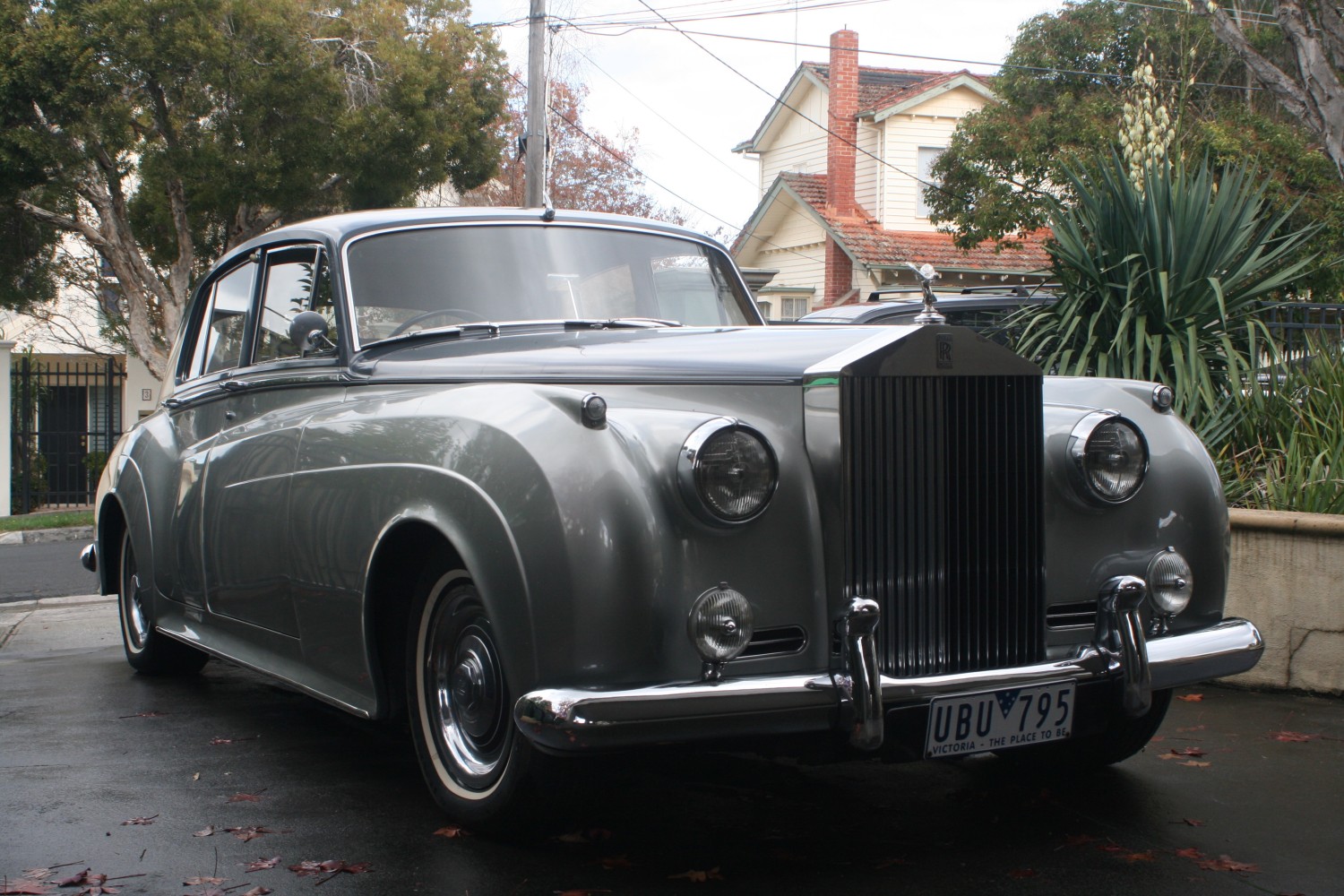 1962 Rolls-Royce Silver Cloud II - Singo - Shannons Club