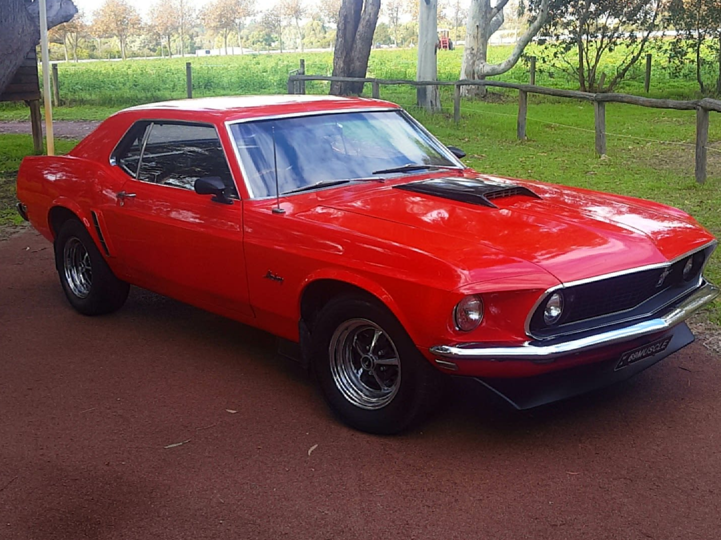 1969 Ford Mustang - 69muscle - Shannons Club