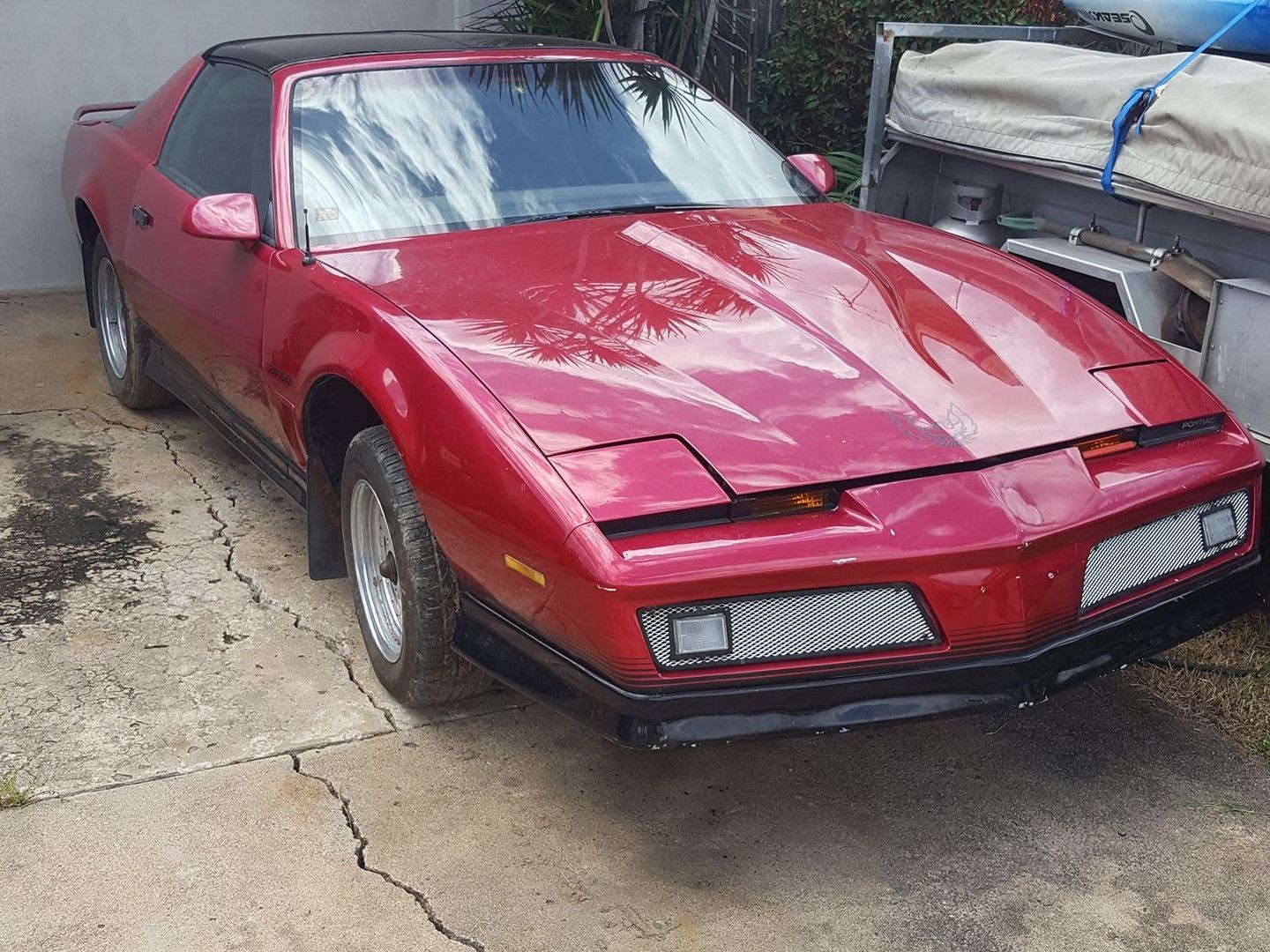 1984 Pontiac FIREBIRD TRANS AM - mwharnas - Shannons Club