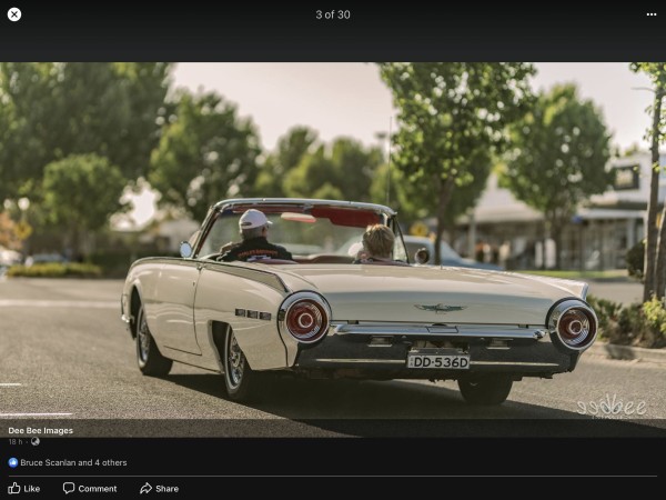 Ford Thunderbird Davidlane Shannons Club