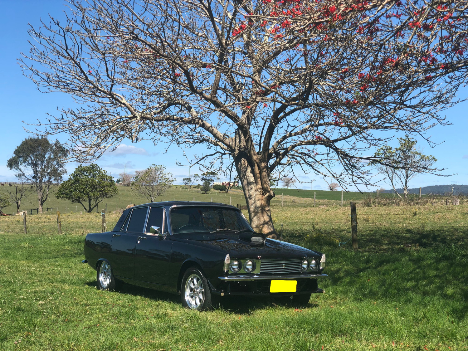 1976 Rover P6 - Rustygirl - Shannons Club