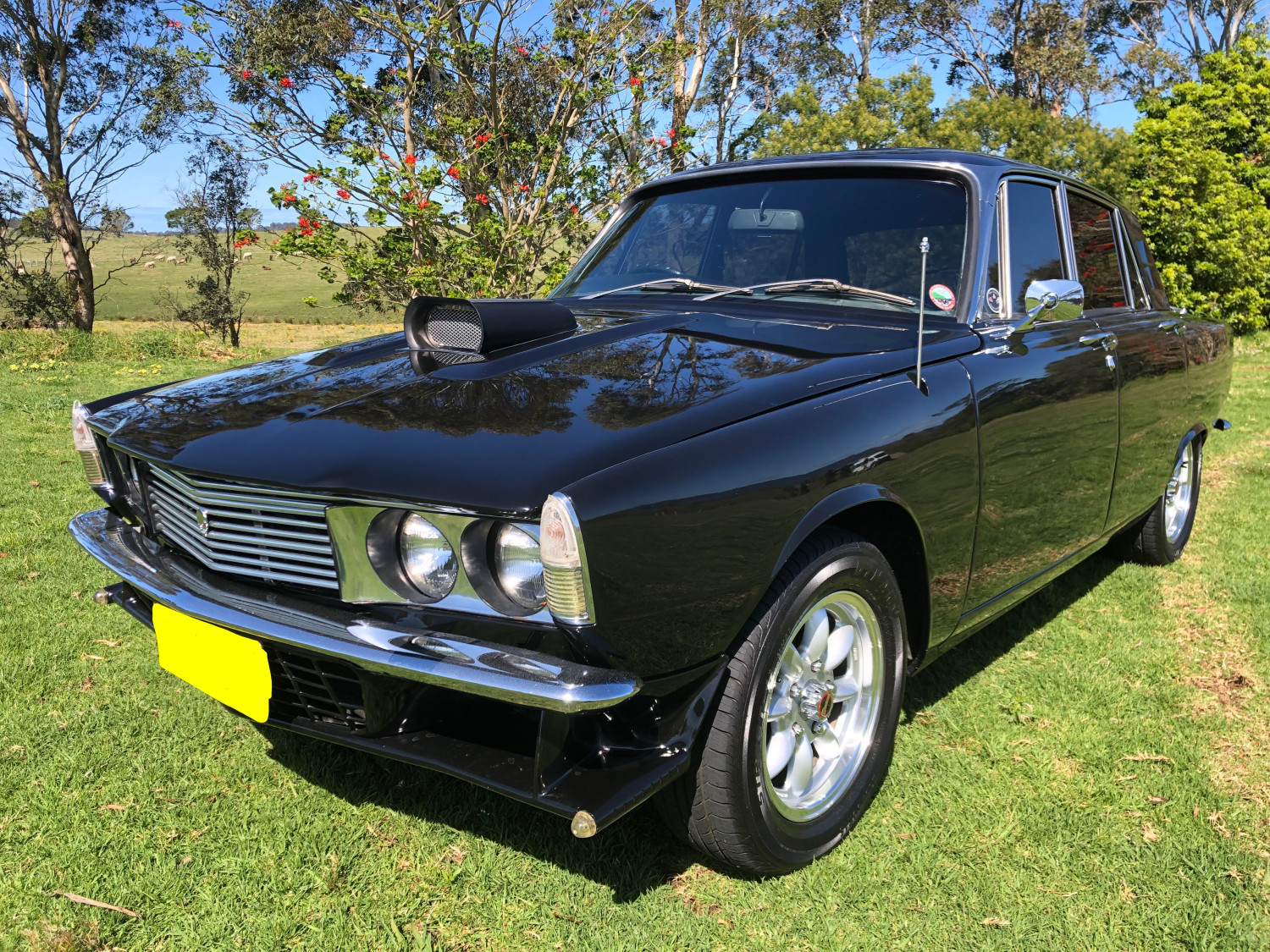 1976 Rover P6 - Rustygirl - Shannons Club