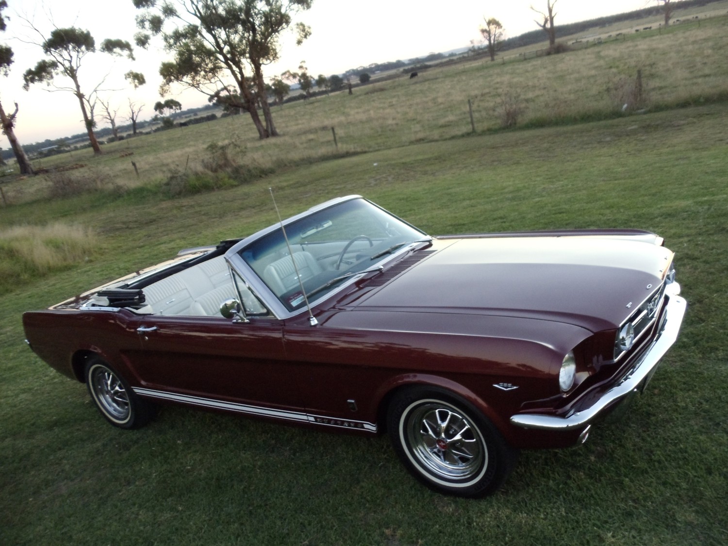 1966 Ford MUSTANG GT FORD