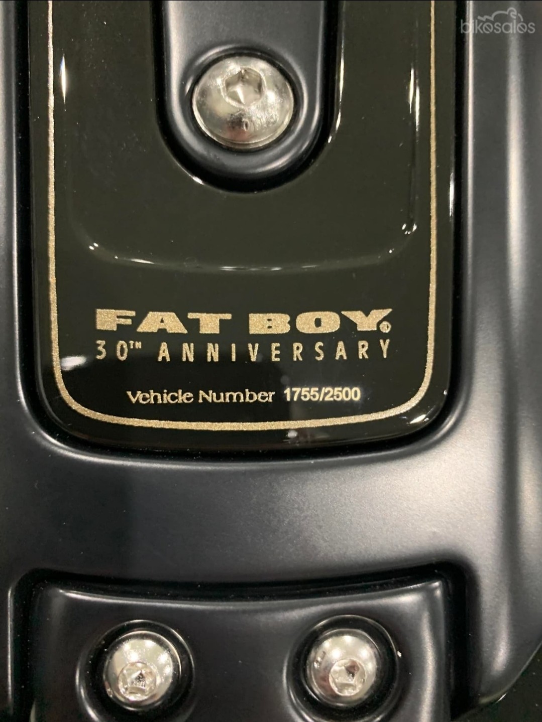 2020 Harley-Davidson FAT BOY 30th Anniversary LIMITED EDITION - tas