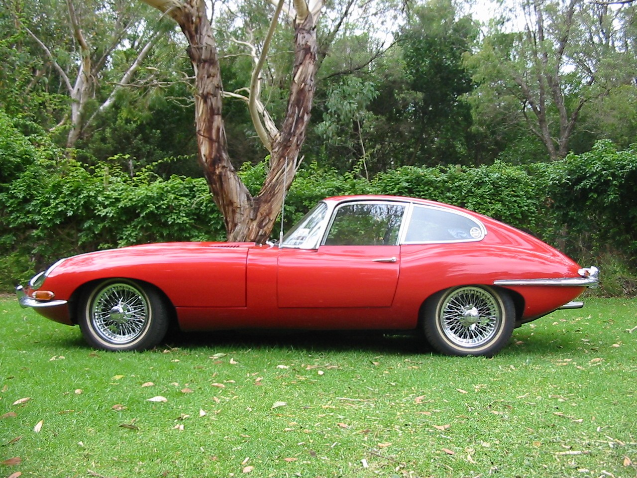 1963 Jaguar E Type