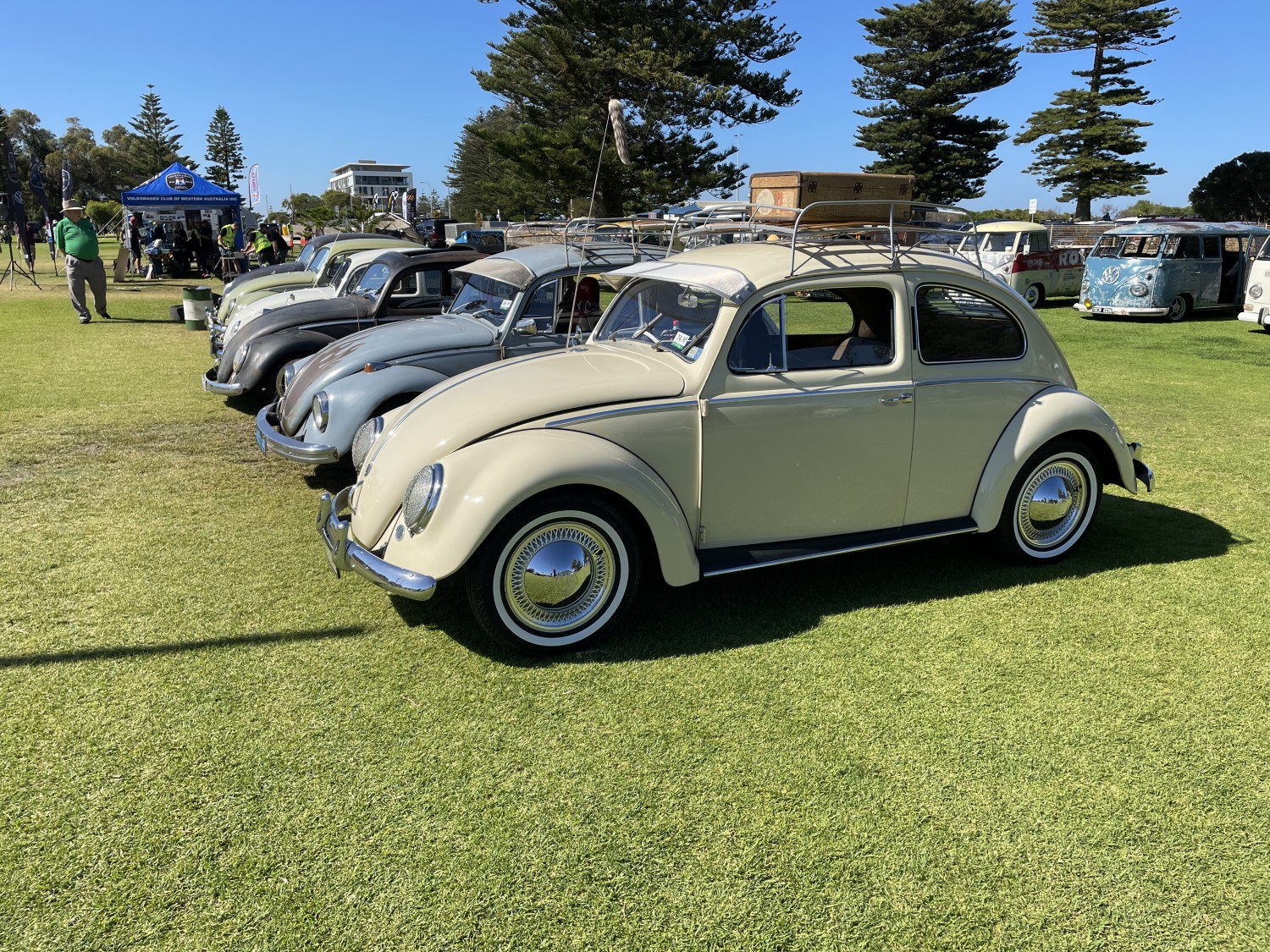 1955 Volkswagen Oval beetle