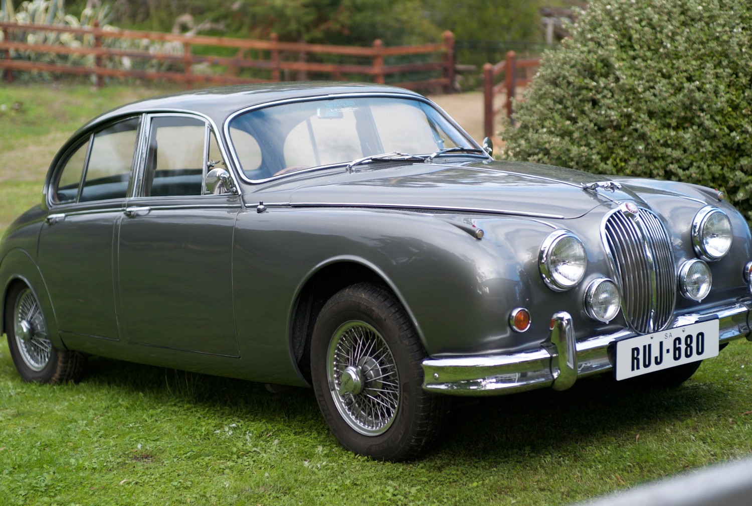 1964 Jaguar Mark 2 - Randalsea - Shannons Club