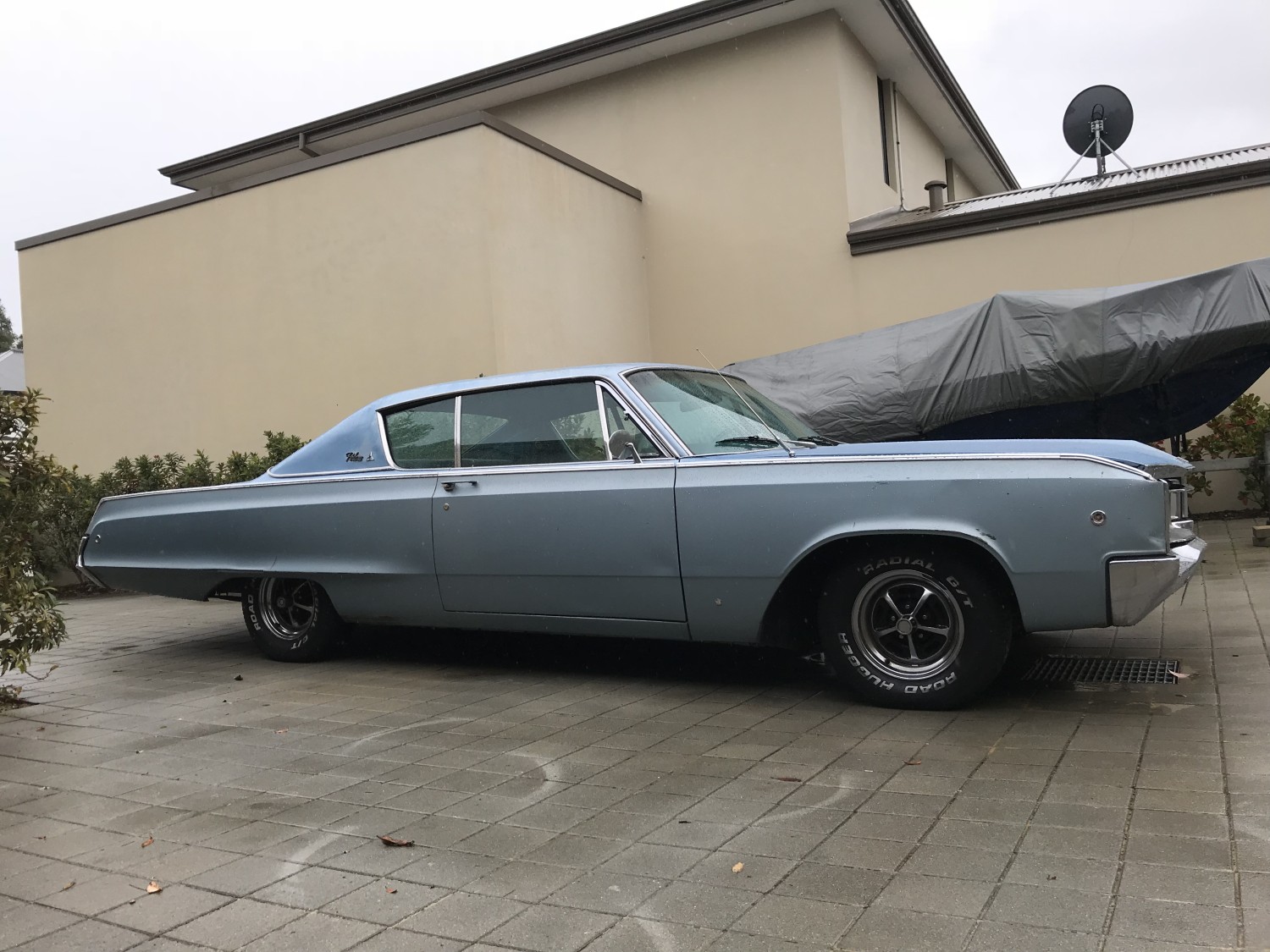 1968 Dodge Polara - BradleyJohnTucker - Shannons Club