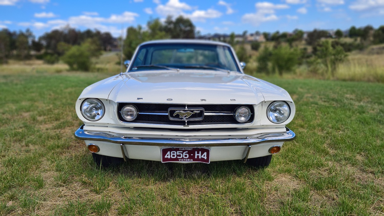 1965 Ford Gt mustang | 2023 Shannons Club Online Show & Shine