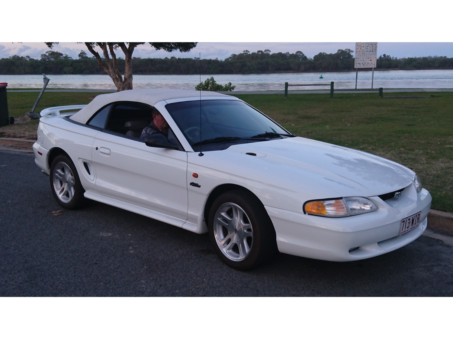 1998 Ford MUSTANG GT - MSTG98 - Shannons Club