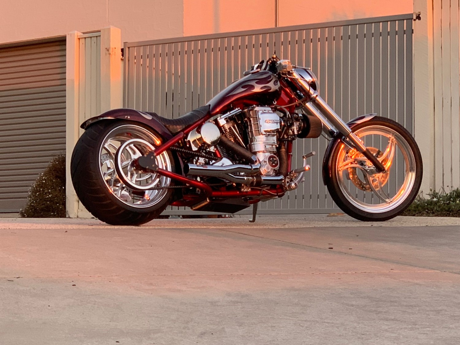 harley davidson pro street