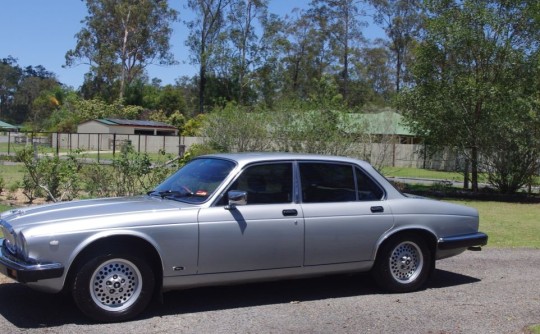 1984 Jaguar XJ6 Series 3