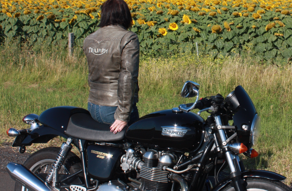 2008 Triumph 865cc THRUXTON 900