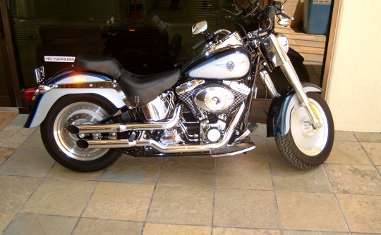 2002 Harley-Davidson Fatboy