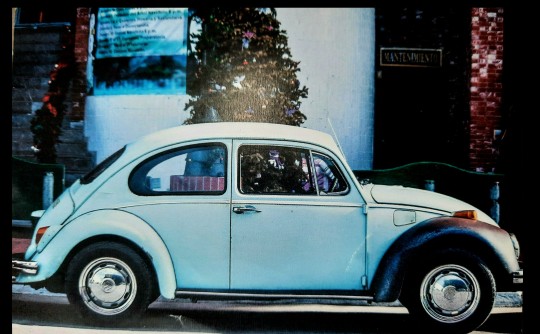 1969 Volkswagen 1500 (BEETLE)