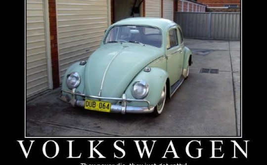 1964 Volkswagen Bettle
