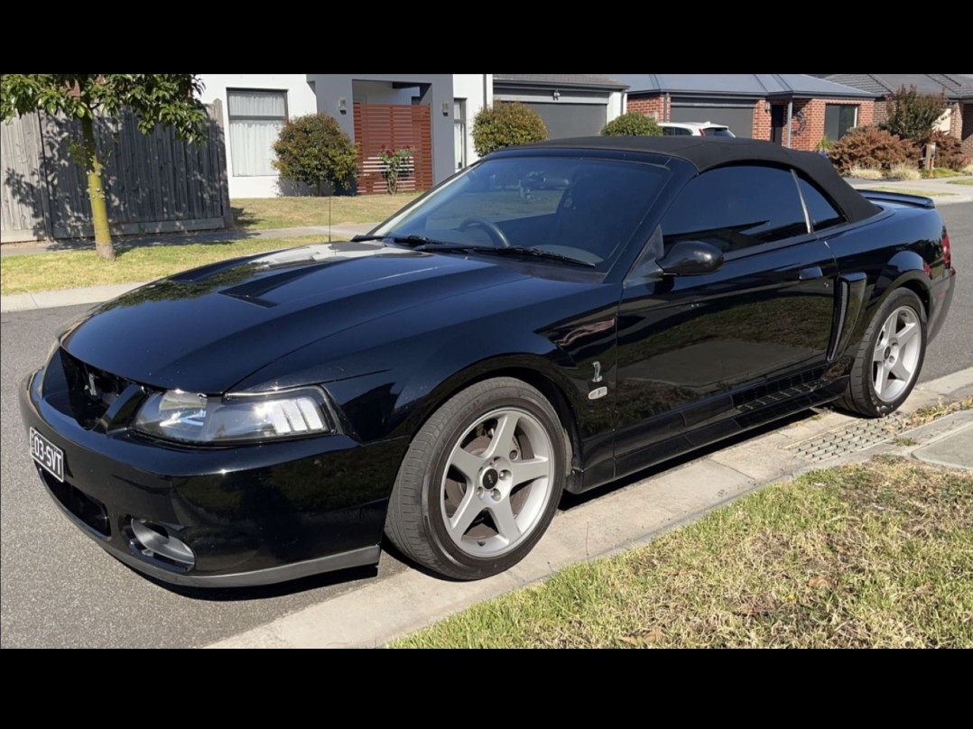 2003 Ford MUSTANG COBRA