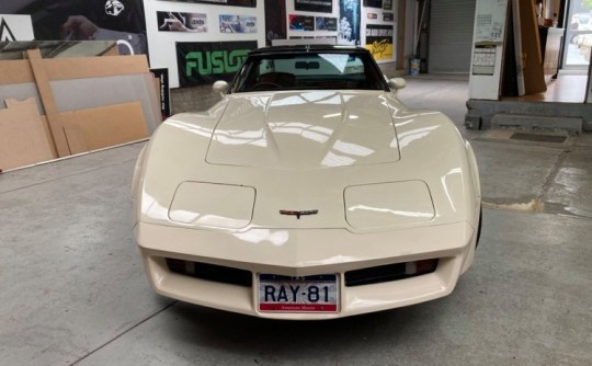 1981 Chevrolet CORVETTE STINGRAY