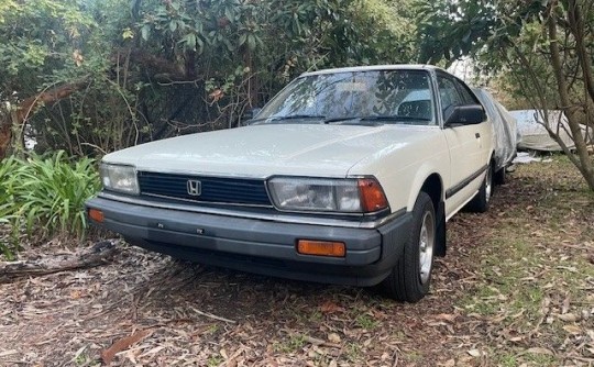 1981 Honda Accord