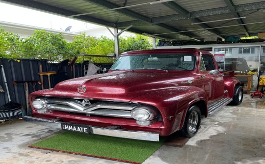 1955 Ford F100