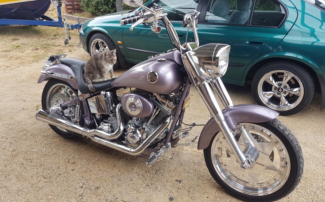 2000 Harley-Davidson 1450cc FXST SOFTAIL