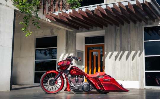 1989 Harley-Davidson Bagger