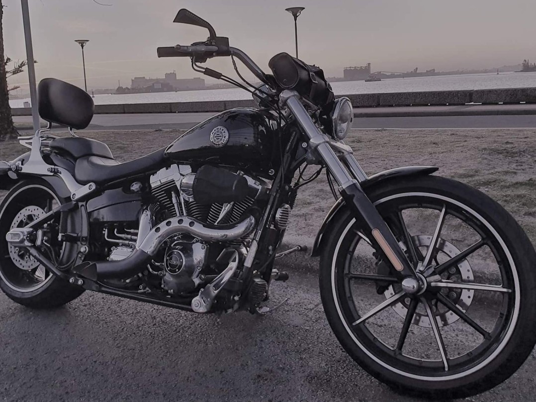 2014 Harley-Davidson Fxsb
