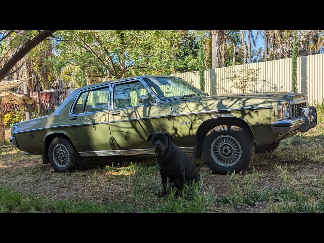 1979 Holden STATESMAN DE VILLE