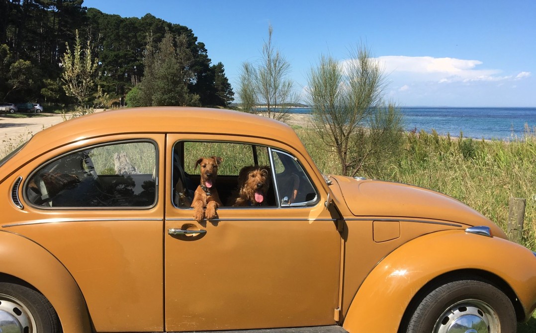 1972 Volkswagen 1600 SUPER BUG L