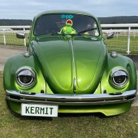 Kermitbeetle