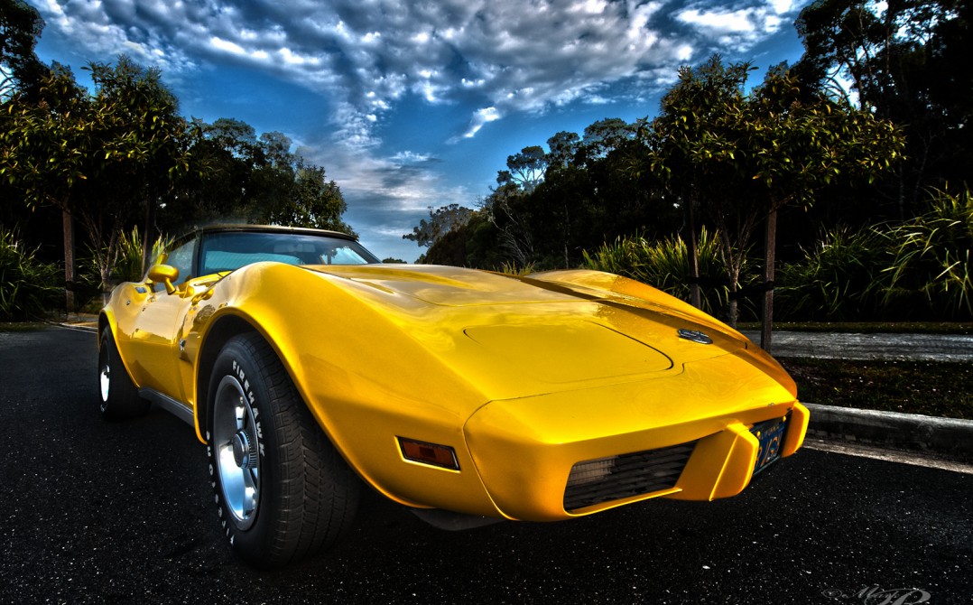 1978 Chevrolet CORVETTE STINGRAY