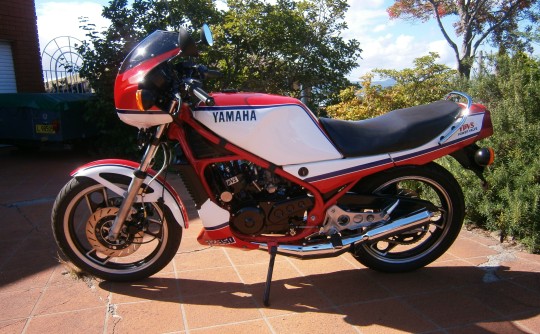 1983 Yamaha RZ 350