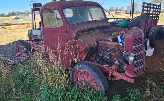 1952 Bedford K