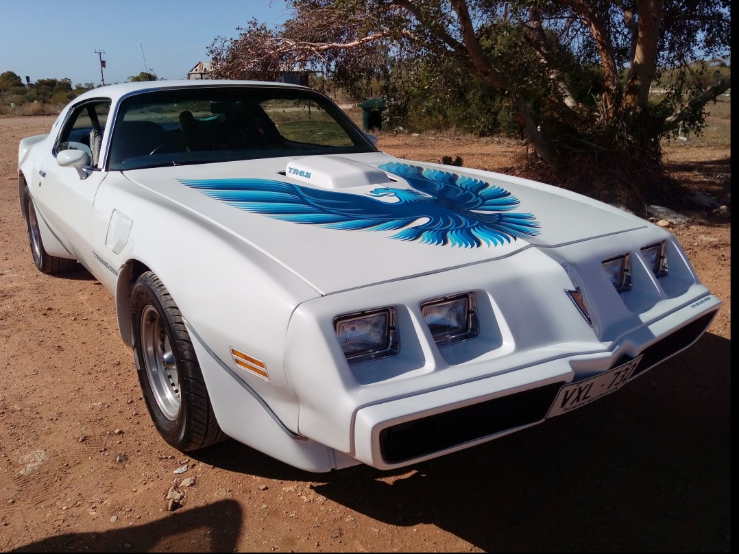 1979 Pontiac FIREBIRD TRANS AM