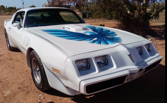 1979 Pontiac FIREBIRD TRANS AM