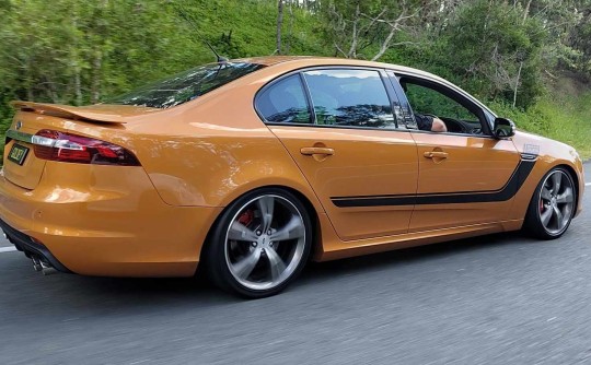 2015 Ford FALCON XR8