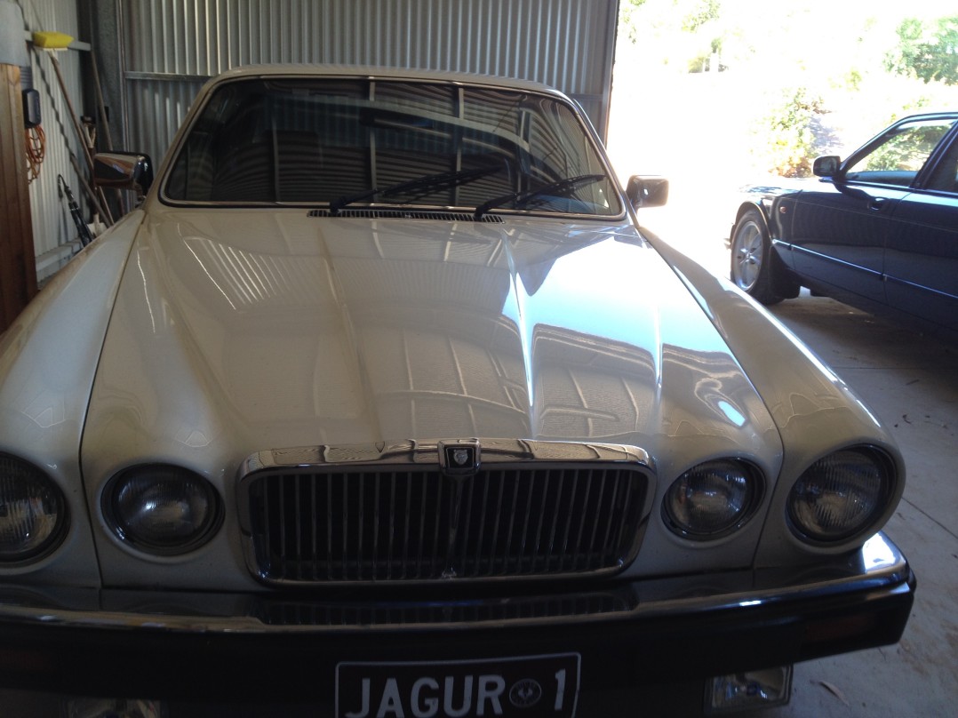 1984 Jaguar XJ6 Series III