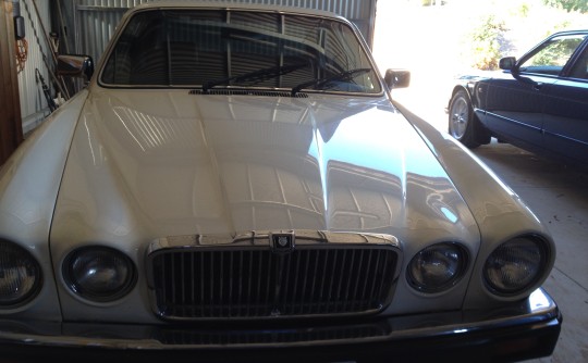 1984 Jaguar XJ6 Series III