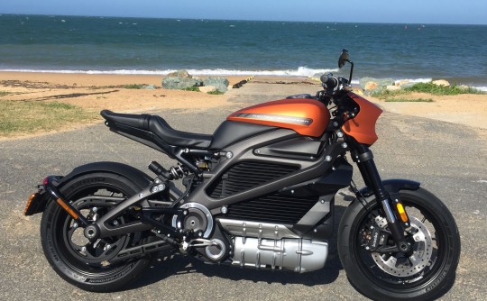 2020 Harley-Davidson Livewire