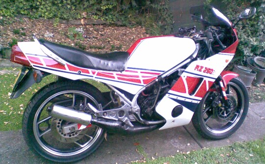 1985 Yamaha RZ250R
