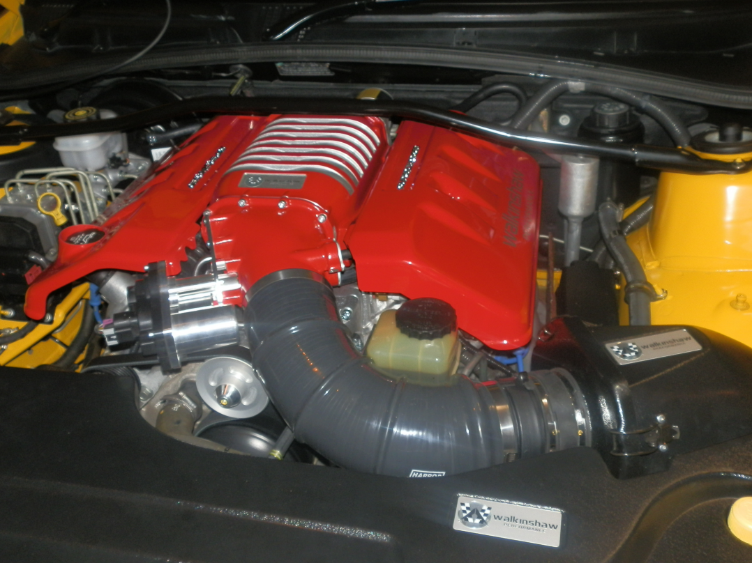 2005 Holden MONARO CV8