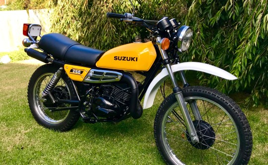 1977 Suzuki TS250