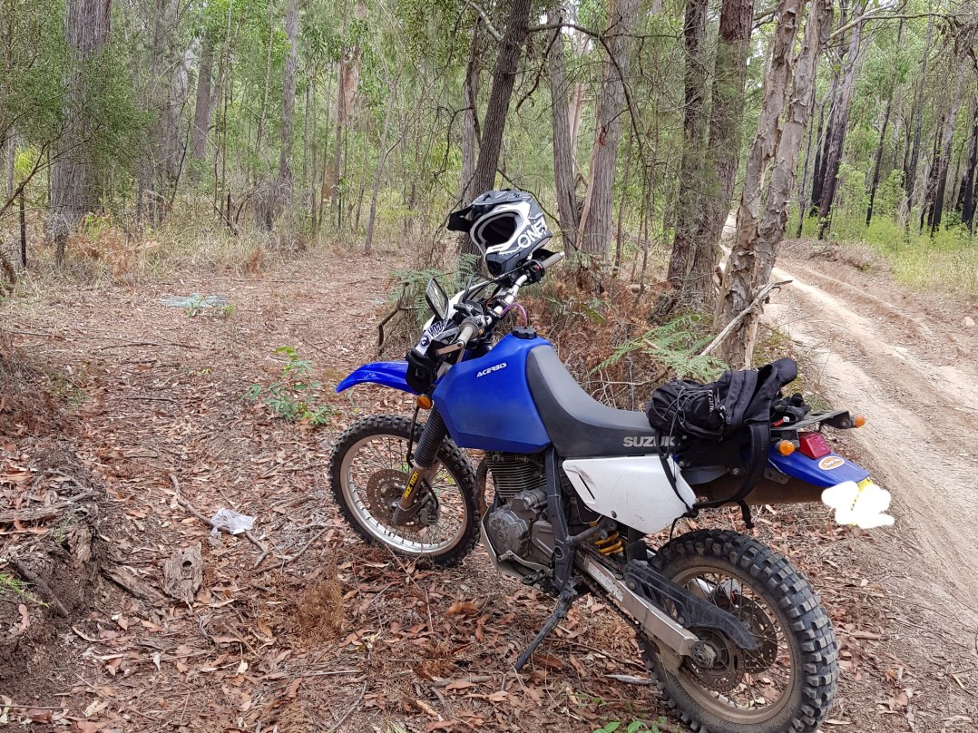 2007 Suzuki DR650SE