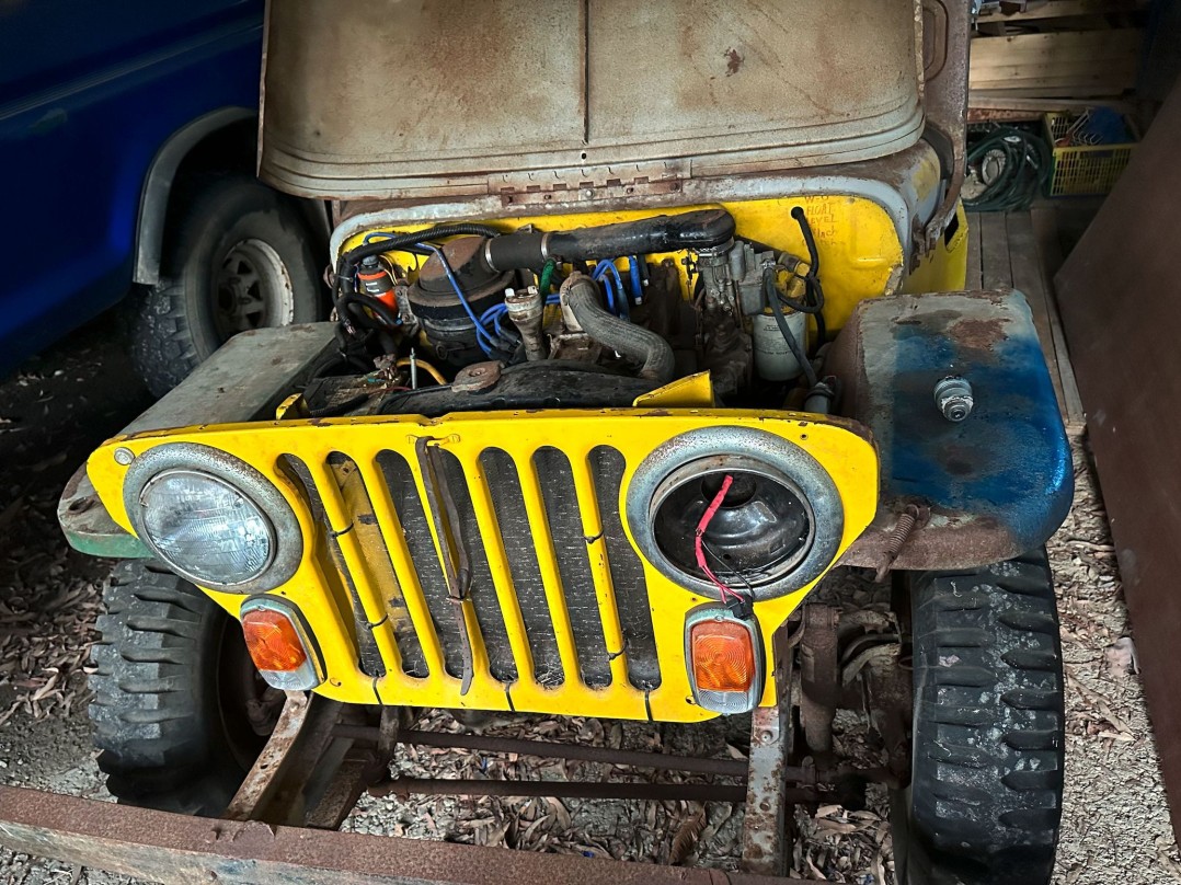 1951 Willys CJ3A