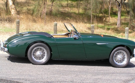 1953 Austin Healey BN1 100/4