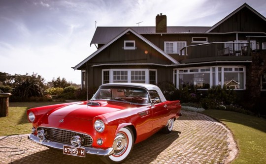 1955 Ford Thunderbird