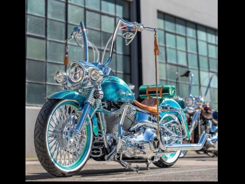 2004 Harley-Davidson Fatboy flstfi