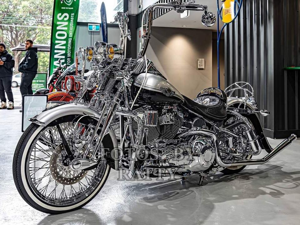 2003 Harley-Davidson 100th Anniversary springer