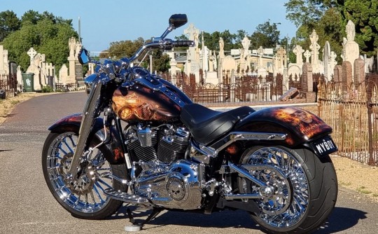 2019 Harley-Davidson Softail FatBoy 1745cc