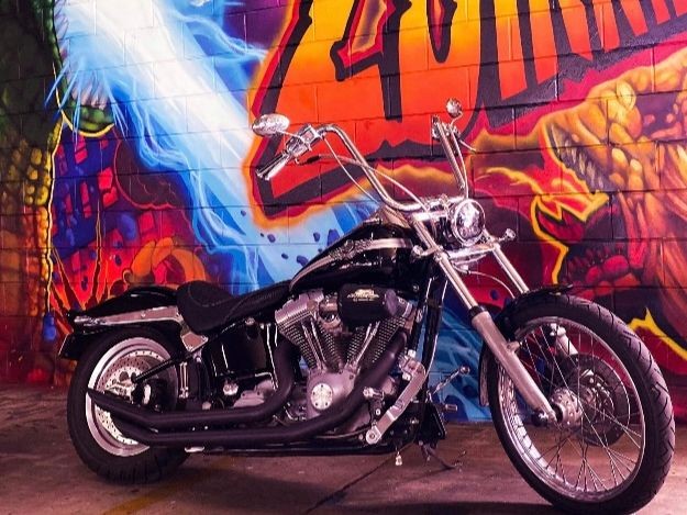 2003 Harley-Davidson 100th Anniversary softail